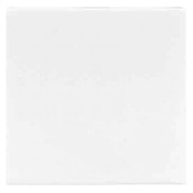 Jung LS990 Afdekking blind alpinewit