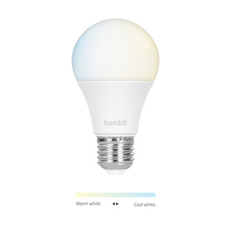 Hombli Slimme lamp (E27 9W wifi) 2-pack