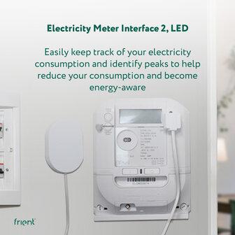 frient Electricity Meter Interface 2 LED (Zigbee)