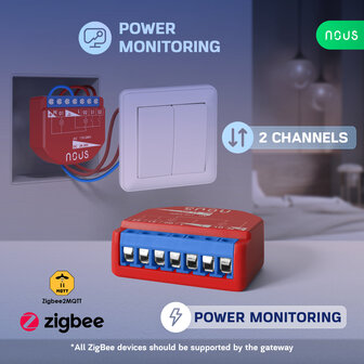 Nous Double Switch Zigbee PM