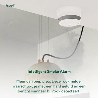 Frient Intelligente rookmelder (Zigbee)