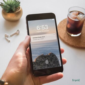 Frient Intelligente rookmelder (Zigbee)