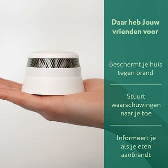 Frient Intelligente rookmelder (Zigbee)