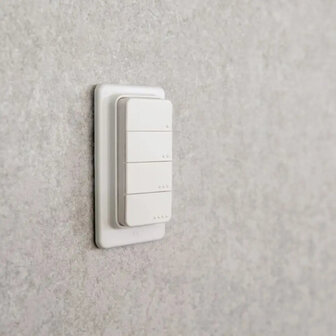 Shelly BLU RC Button 4 ZB