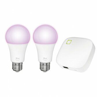 ZRGB2-Z1R Zigbee Starter Set: 2 RGB Lampen + Z1 Zigbee Bridge