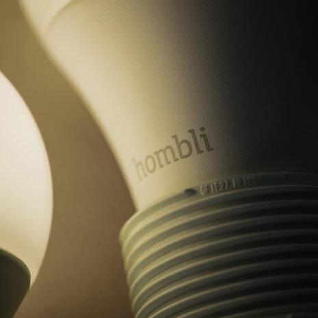 Hombli Slimme lamp (E27 9W wifi)