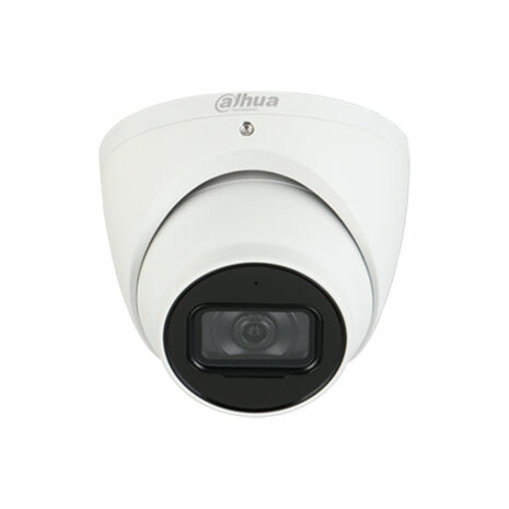 Dahua 4K Camera Set: 2 eyeball camera's + recorder (2TB)
