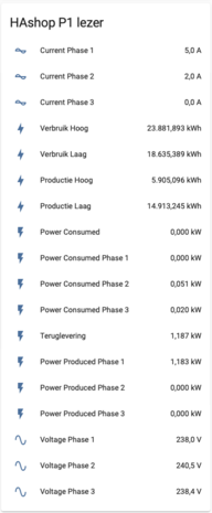 P1 energiemeter voor Home Assistant