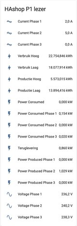 HAshop Home Assistant Energie Manager