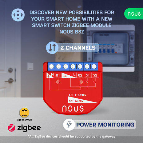 Nous Double Switch Zigbee PM