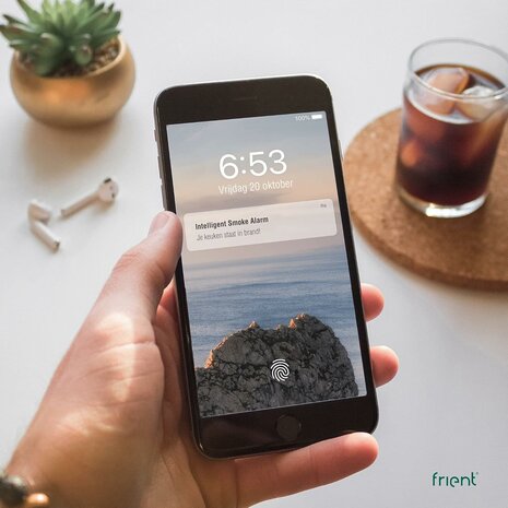 Frient Intelligente rookmelder (Zigbee)