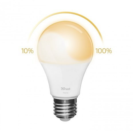 ZLED-2209 Dimbare E27 LED Lamp Flame Wit