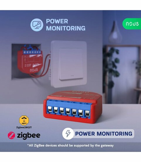 Nous Single Switch Zigbee PM