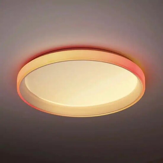 Onderzijde van de ronde lamp met vlak wit lichtpaneel en smalle buitenrand