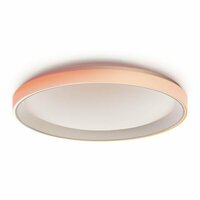 Aqara Plafondlamp T1M + Home Assistant