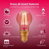 Innr Smart Filament Bulb Vintage E27 2-pack_
