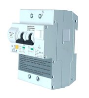 WDYK Automatische Zekering 16A 2P wifi